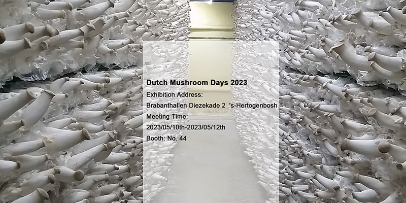 Let's meet for Dutch Mushroom Days 2023