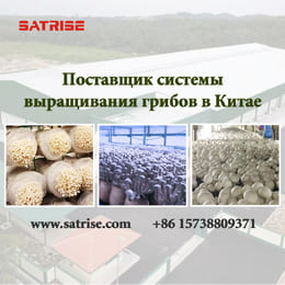 Satrise company settled in Ukraine UDMIS platform