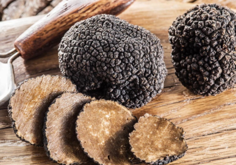 Climate change is seriously destroying the main producing area of black truffles