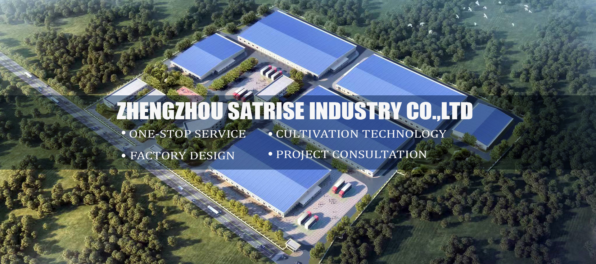 Zhengzhou Satrise Industry Co., Ltd.